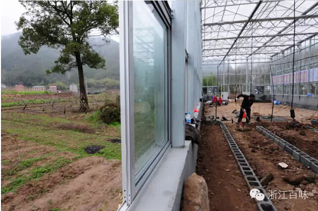 三年职业农民的进展、问题与建议(图4)