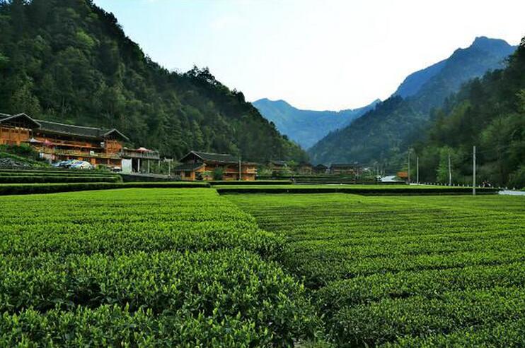 湖北乡村的魅力(图2)