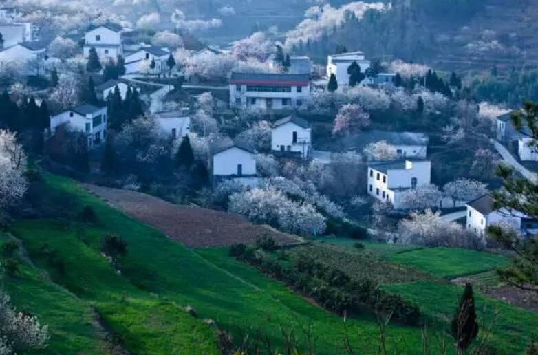 湖北乡村的魅力(图11)