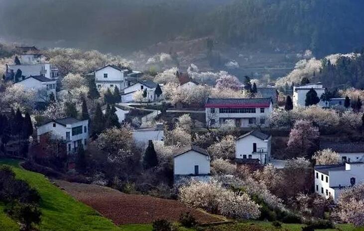 湖北乡村的魅力(图13)