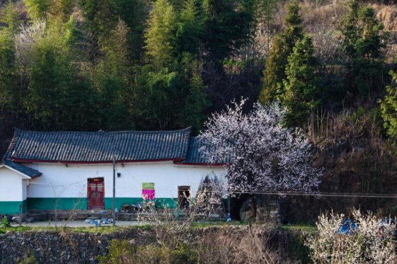 湖北乡村的魅力(图14)
