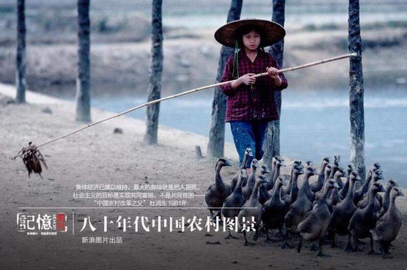 八十年代中国农村图景(图1)