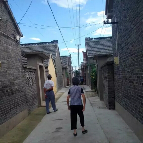 苏中:垛田集落的样貌素描(图1)