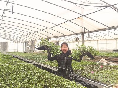 新农民把乡村变成升级版“桃花源”(图3)
