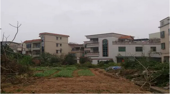 沙岗村的变迁历史(图3)