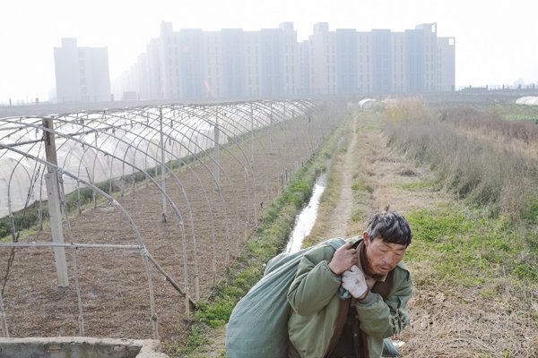 一个疯狂城市化中的村庄写真(图21)