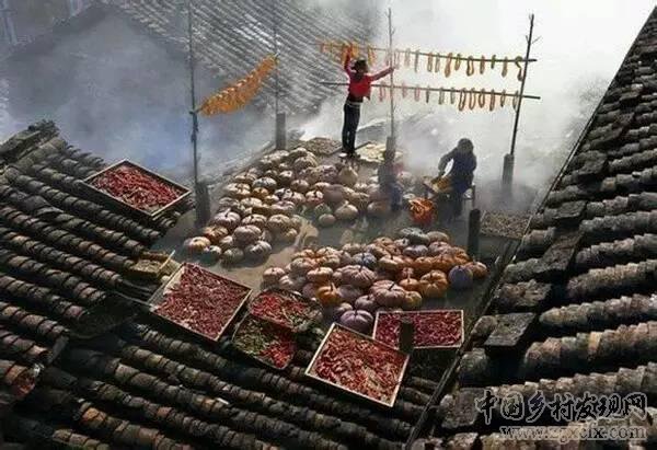 美到极致的中国古建民居(图13)