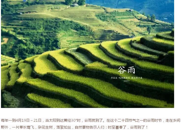 谷雨前后的乡村(图1)