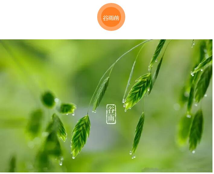 谷雨前后的乡村(图3)