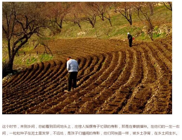 谷雨前后的乡村(图5)