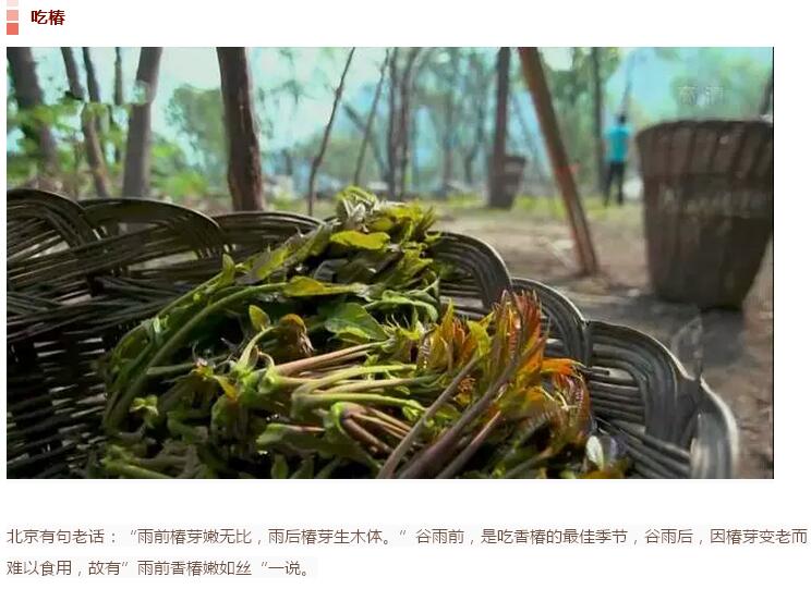 谷雨前后的乡村(图7)
