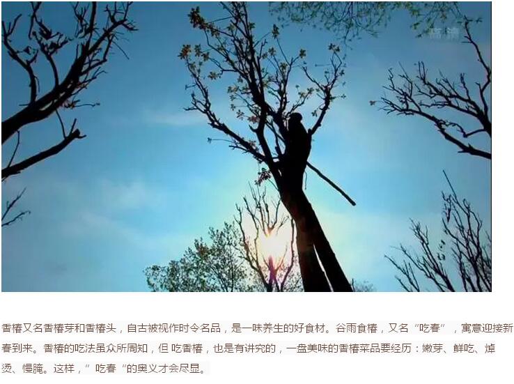 谷雨前后的乡村(图8)