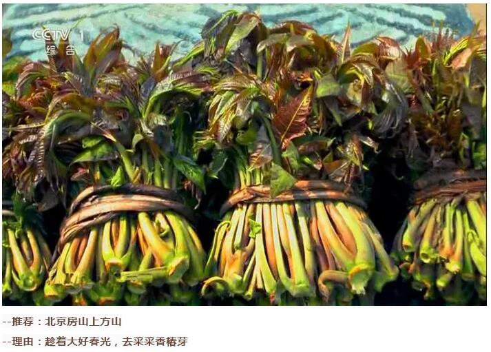 谷雨前后的乡村(图9)