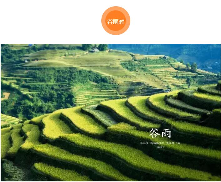 谷雨前后的乡村(图10)