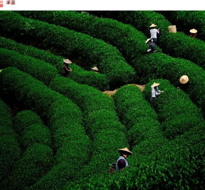 谷雨前后的乡村(图11)