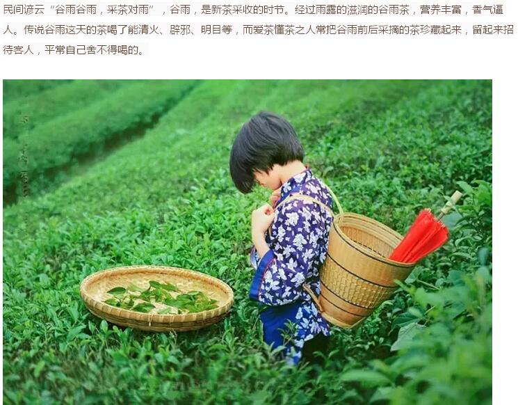 谷雨前后的乡村(图12)