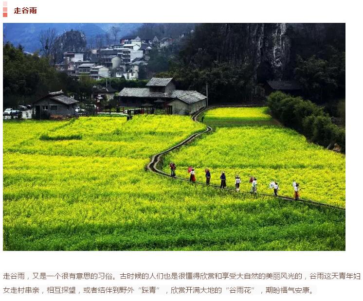 谷雨前后的乡村(图14)