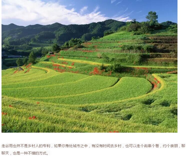 谷雨前后的乡村(图15)