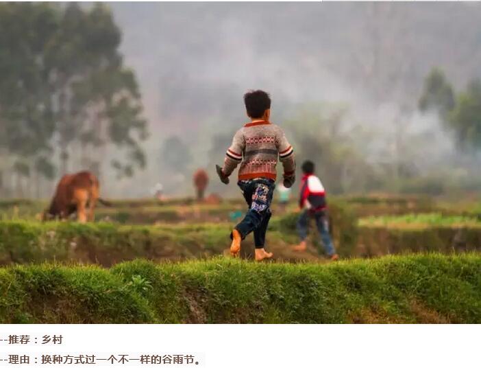 谷雨前后的乡村(图16)