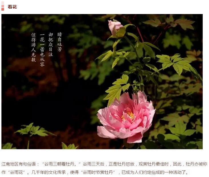 谷雨前后的乡村(图24)