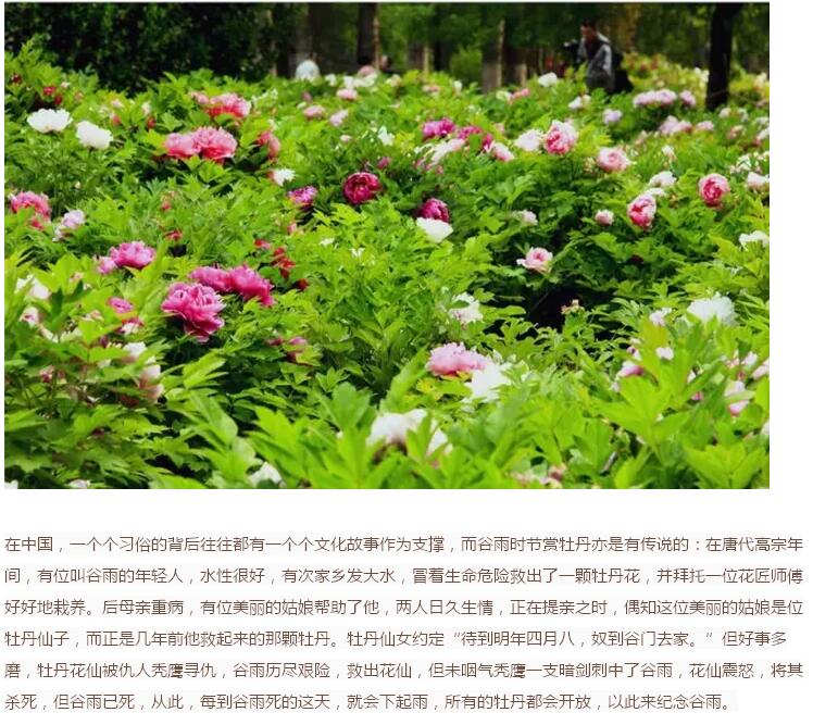 谷雨前后的乡村(图25)