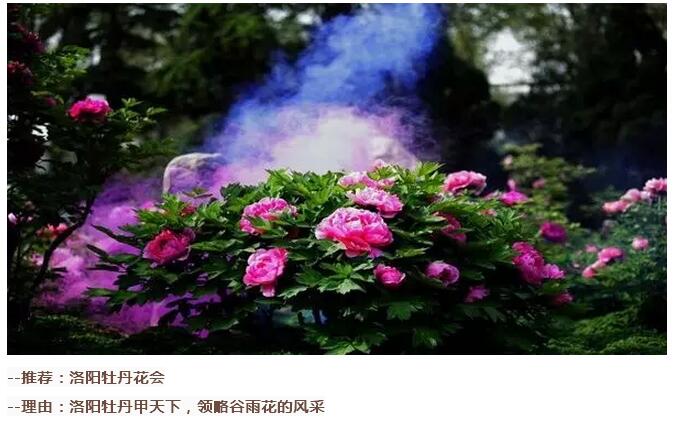 谷雨前后的乡村(图26)
