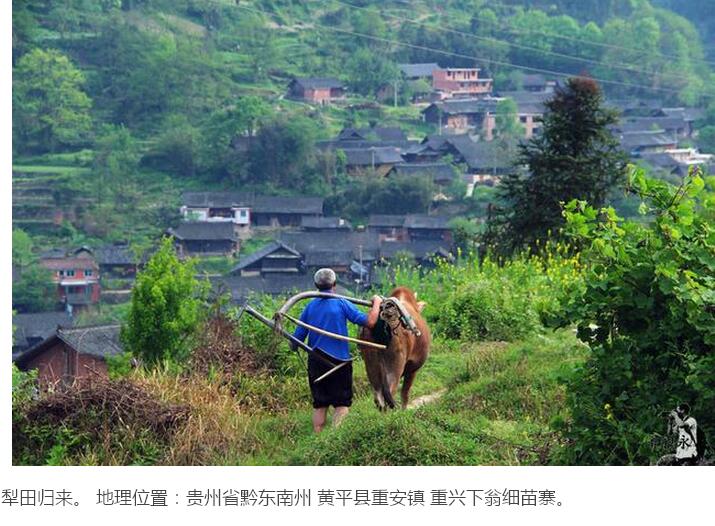 乡愁在美丽的苗寨静静安放(图14)