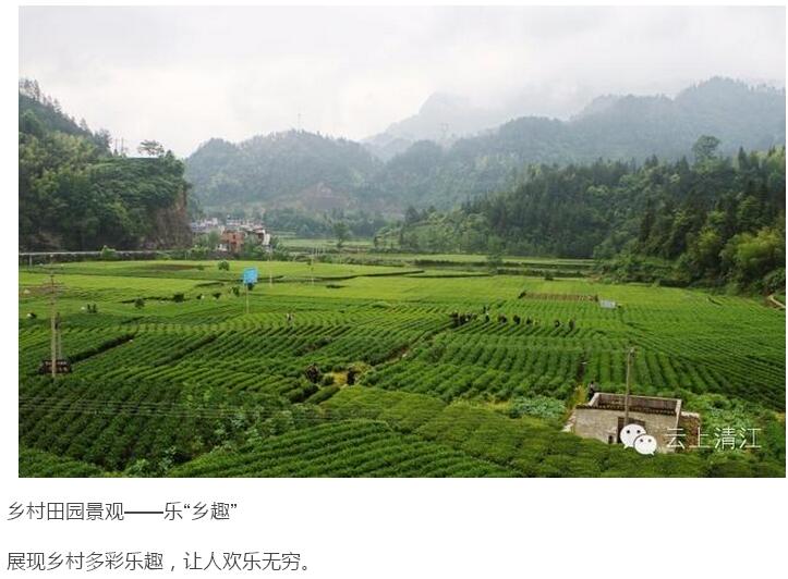乡村够美才记得住乡愁(图7)