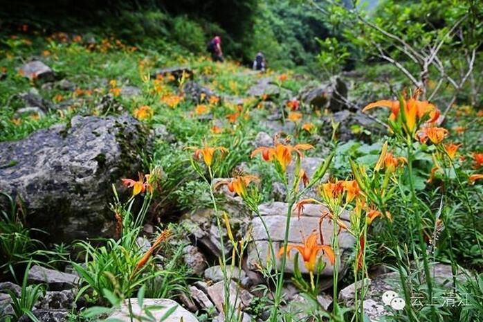 乡村够美才记得住乡愁(图8)