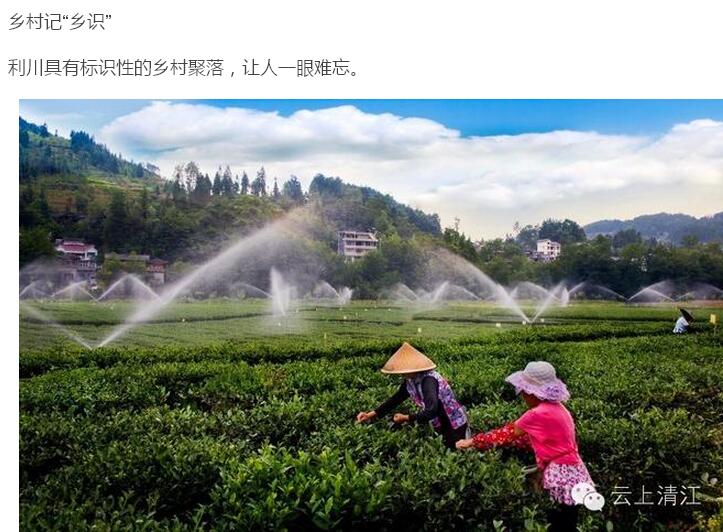 乡村够美才记得住乡愁(图6)