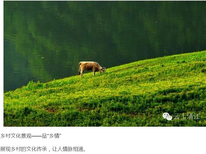 乡村够美才记得住乡愁(图15)