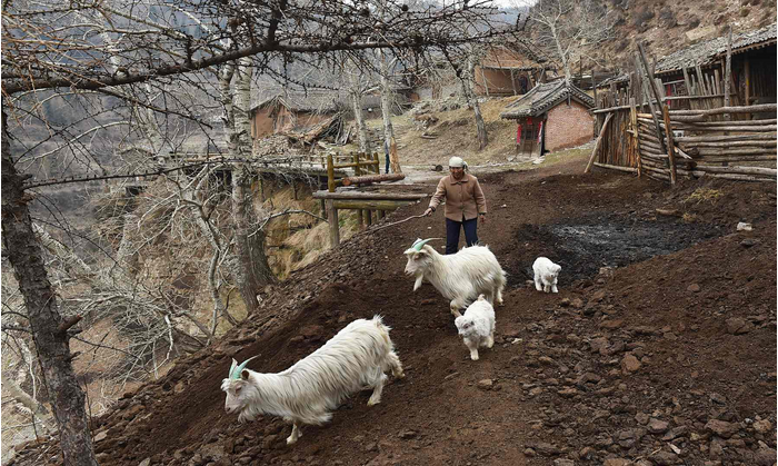 一村几户 留守山村(图5) 一村几户 留守山村(图5)