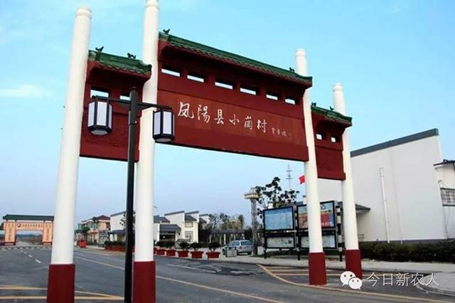 盘点中国最牛的八大农村