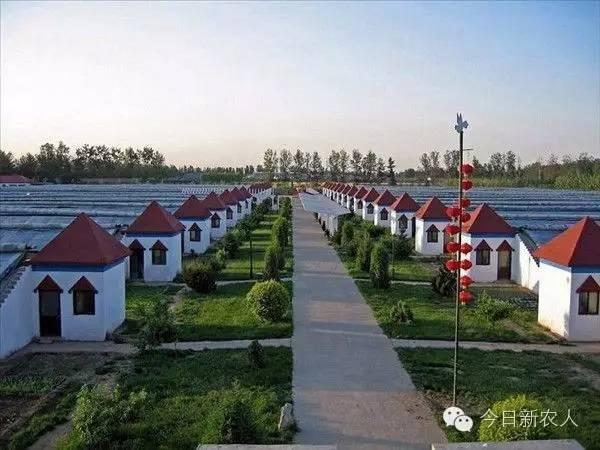 盘点中国最牛的八大农村