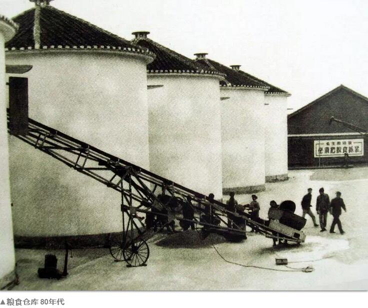 80年代的中国农村你还记得多少(图12)