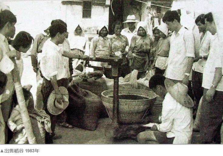 80年代的中国农村你还记得多少(图13)