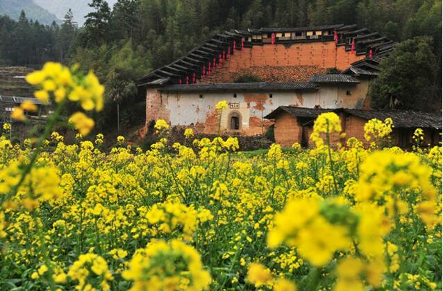 油菜花包围的土堡似人间仙境(图2)