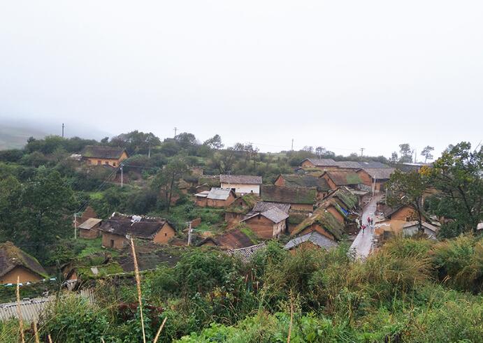 生活在大山包深处最原始的蘑菇村(图1)