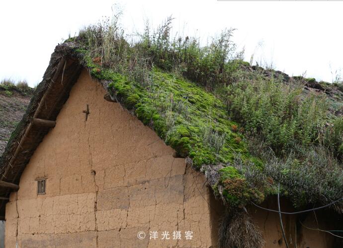 生活在大山包深处最原始的蘑菇村(图2)