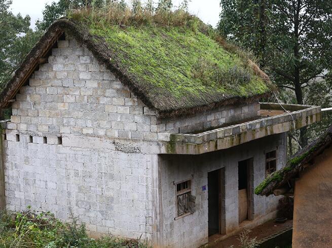 生活在大山包深处最原始的蘑菇村(图3)