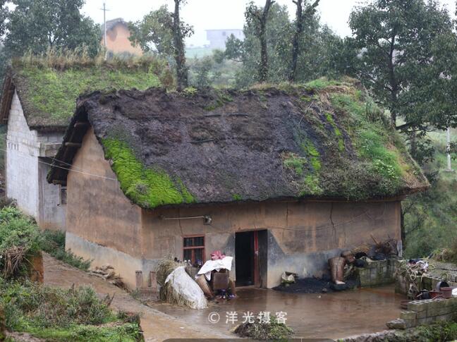 生活在大山包深处最原始的蘑菇村(图5)