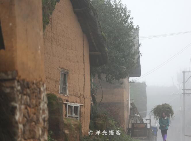 生活在大山包深处最原始的蘑菇村(图7)