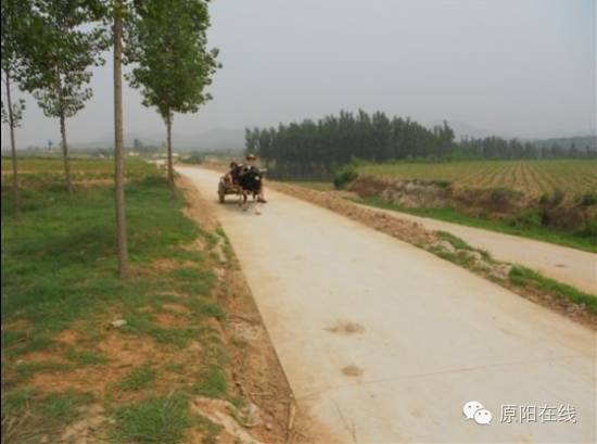 现代化的农民很幸福(图8)