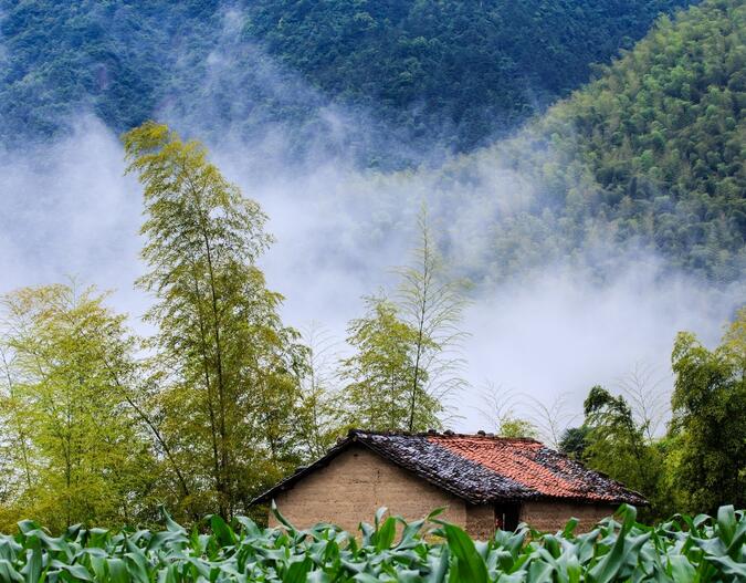 浙江松阳:隐于乡间的建筑瑰宝(图4)