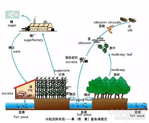 QQ截图20190513091802.jpg
