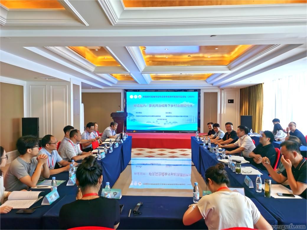 中国农发会年会(2025)“乡村治理”平行论坛论文入选名单(图1)