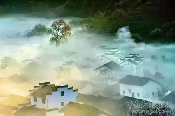 30年后将有一大批人涌入农村(图11)