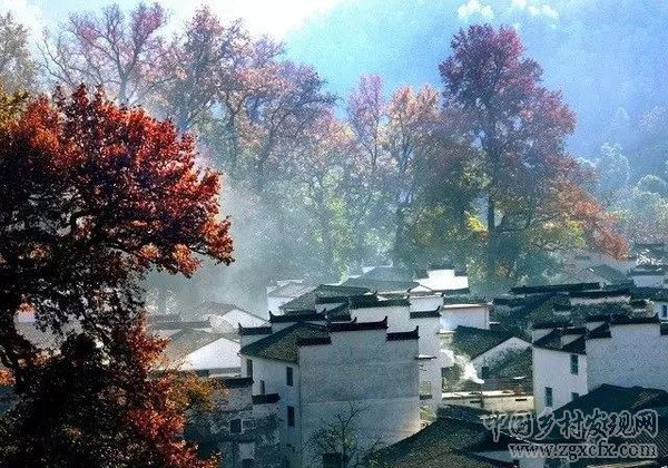 30年后将有一大批人涌入农村(图9)