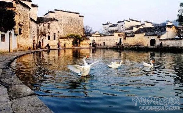 30年后将有一大批人涌入农村(图6)