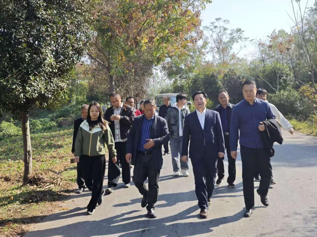 资讯｜湖南师大乡研院赴衡阳县三湖镇开展“农业大镇从新农村建设到乡村振兴的二十年变迁”主题调研(图2)